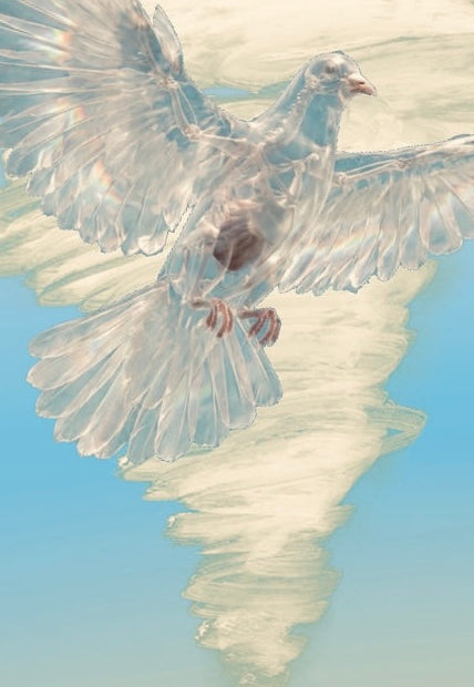 VORTEX 0°7